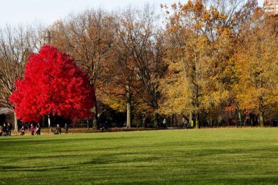 Autumn In Central Central Park 6.jpg