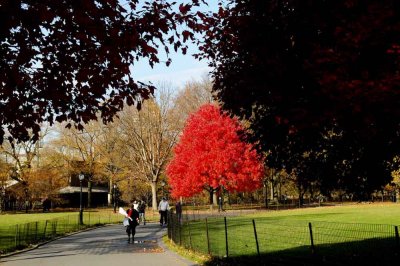 Autumn In Central Central Park 10.jpg