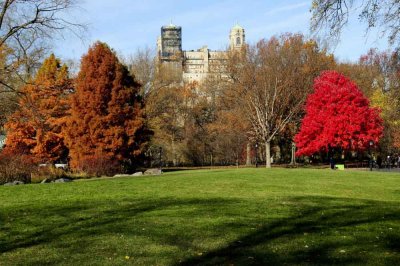 Autumn In Central Central Park 11.jpg