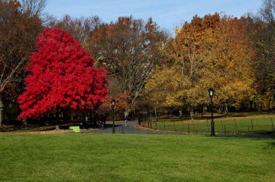 Autumn In Central Central Park 12.jpg
