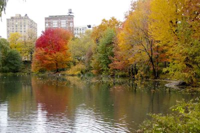 Autumn In Central Central Park 14.jpg