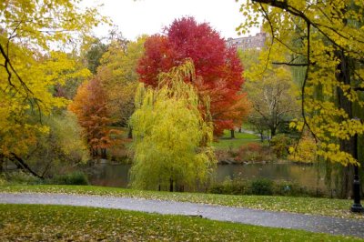 Autumn In Central Central Park 16.jpg