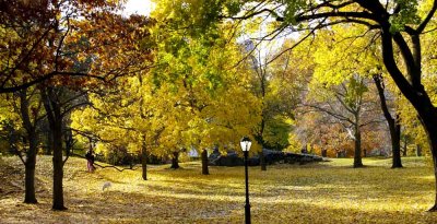 Autumn In Central Central Park 17.jpg