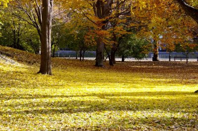Autumn In Central Central Park 19.jpg