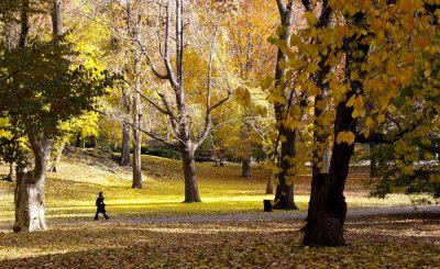Autumn In Central Central Park 21.jpg