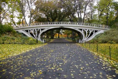 Autumn In Central Central Park 24.jpg