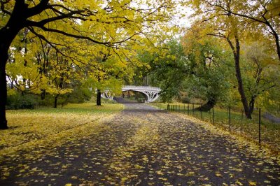 Autumn In Central Central Park 25.jpg