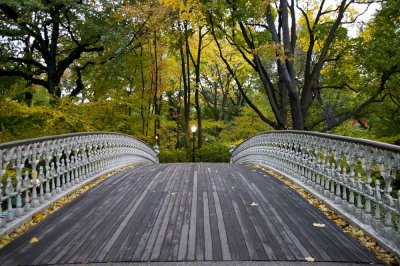 Autumn In Central Central Park 26.jpg