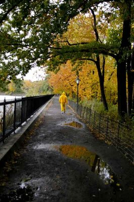 Autumn In Central Central Park 28.jpg