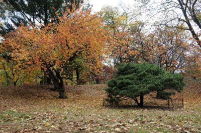 Autumn In Central Central Park 30.jpg