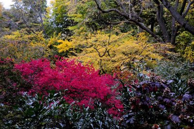 Autumn In Central Central Park 32.jpg