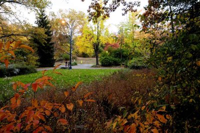 Autumn In Central Central Park 33.jpg