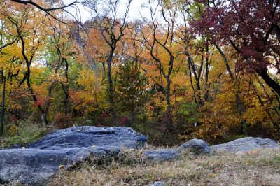 Autumn In Central Central Park 34.jpg