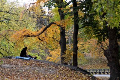 Autumn In Central Central Park 35.jpg