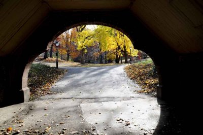 Autumn In Central Central Park 36.jpg