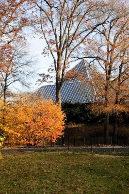 Autumn In Central Central Park 37.jpg