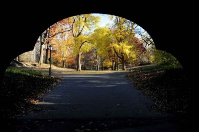 Autumn In Central Central Park 39.jpg