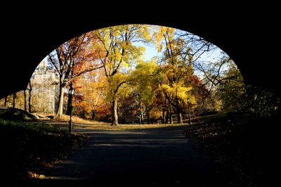 Autumn In Central Central Park 40.jpg