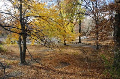 Autumn In Central Central Park 41.jpg