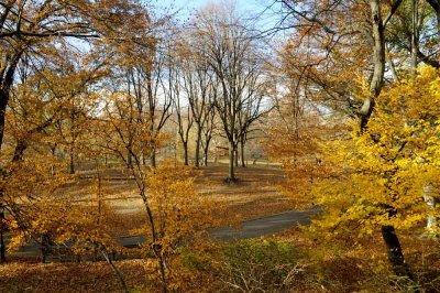 Autumn In Central Central Park 42.jpg