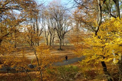 Autumn In Central Central Park 43.jpg