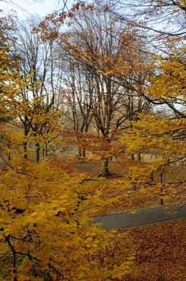 Autumn In Central Central Park 44.jpg