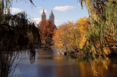Autumn In Central Central Park 47.jpg