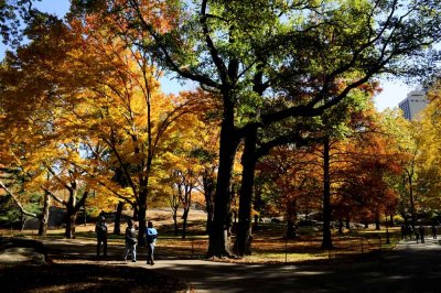 Autumn In Central Central Park 48.jpg