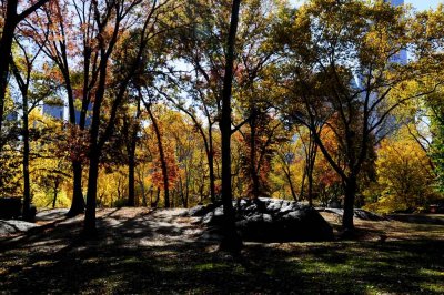 Autumn In Central Central Park 49.jpg
