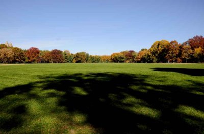 Autumn In Central Central Park 50.jpg