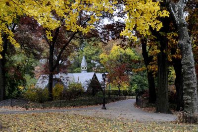 Autumn In Central Central Park 65.jpg