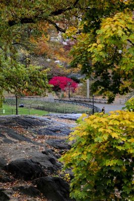 Autumn In Central Central Park 68.jpg