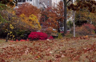 Autumn In Central Central Park 69.jpg