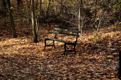 Autumn In Central Central Park 72.jpg