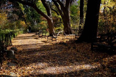 Autumn In Central Central Park 73.jpg