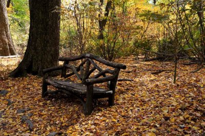Autumn In Central Central Park 74.jpg