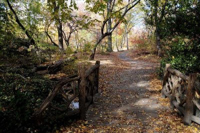 Autumn In Central Central Park 77.jpg