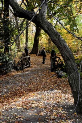 Autumn In Central Central Park 81.jpg