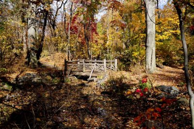 Autumn In Central Central Park 88.jpg