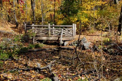 Autumn In Central Central Park 90.jpg