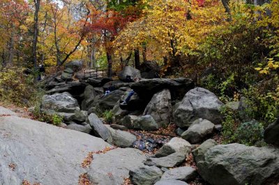 Autumn In Central Central Park 92.jpg