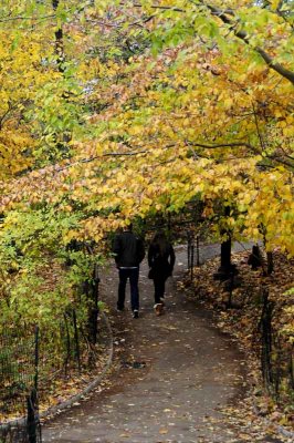 Autumn In Central Central Park 98.jpg