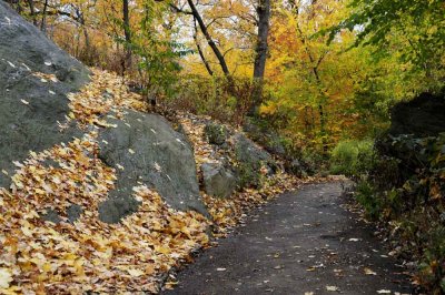 Autumn In Central Central Park 101.jpg