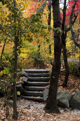 Autumn In Central Central Park 103.jpg