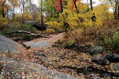 Autumn In Central Central Park 104.jpg