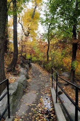 Autumn In Central Central Park 105.jpg