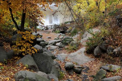 Autumn In Central Central Park 107.jpg