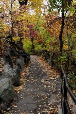 Autumn In Central Central Park 108.jpg