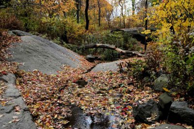 Autumn In Central Central Park 109.jpg