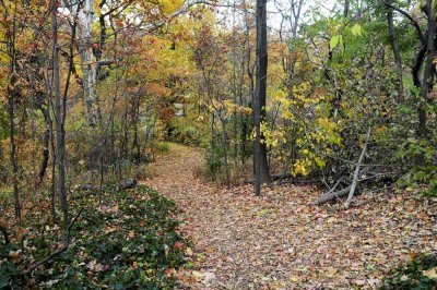 Autumn In Central Central Park 111.jpg